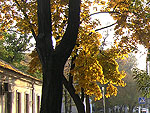 Николаевская осень